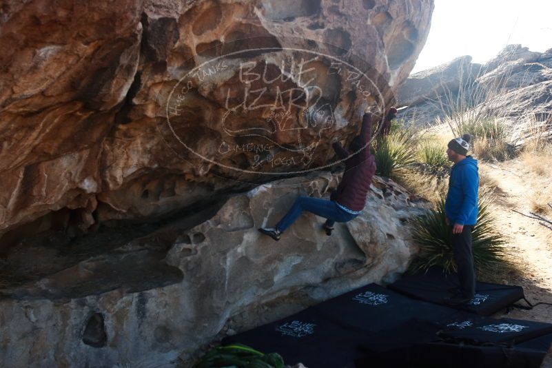 Bouldering in Hueco Tanks on 12/30/2018 with Blue Lizard Climbing and Yoga

Filename: SRM_20181230_1049420.jpg
Aperture: f/5.6
Shutter Speed: 1/250
Body: Canon EOS-1D Mark II
Lens: Canon EF 16-35mm f/2.8 L