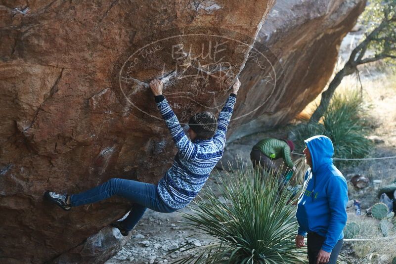 Bouldering in Hueco Tanks on 12/30/2018 with Blue Lizard Climbing and Yoga

Filename: SRM_20181230_1529430.jpg
Aperture: f/3.2
Shutter Speed: 1/400
Body: Canon EOS-1D Mark II
Lens: Canon EF 50mm f/1.8 II