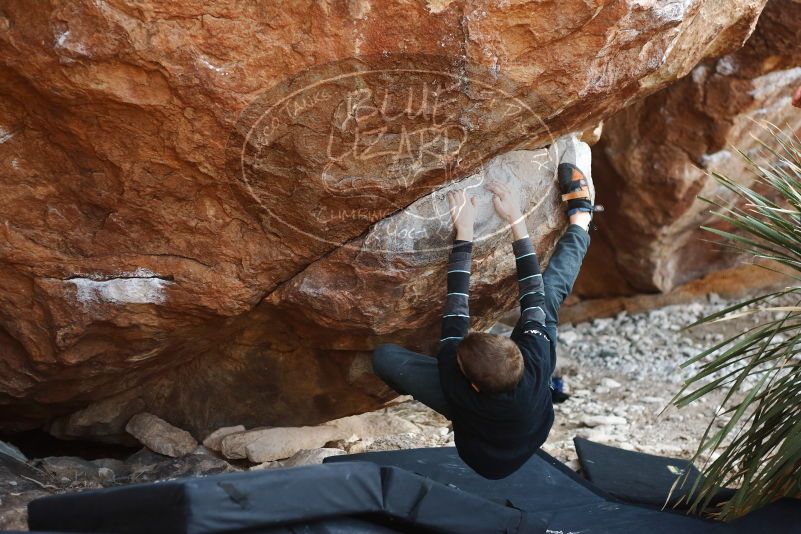 Bouldering in Hueco Tanks on 12/30/2018 with Blue Lizard Climbing and Yoga

Filename: SRM_20181230_1547330.jpg
Aperture: f/2.8
Shutter Speed: 1/320
Body: Canon EOS-1D Mark II
Lens: Canon EF 50mm f/1.8 II