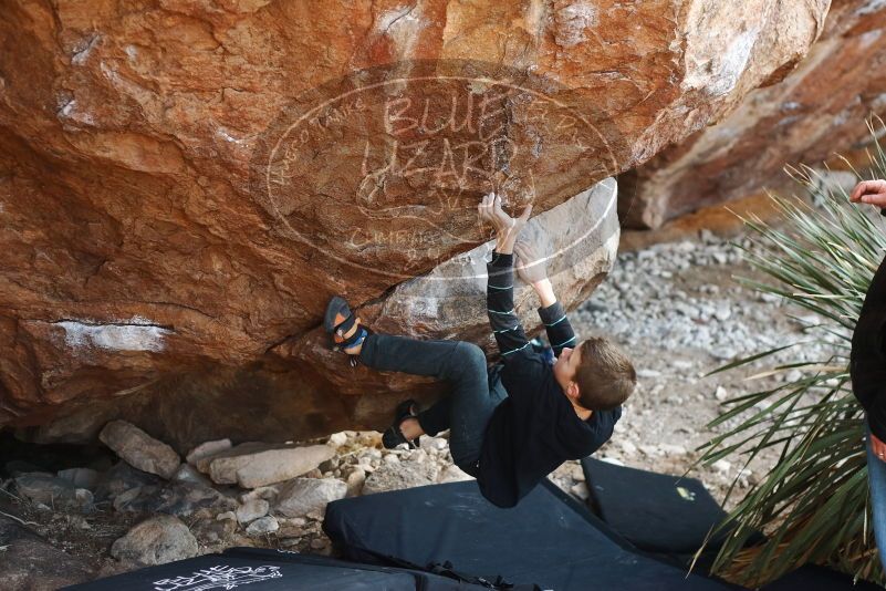 Bouldering in Hueco Tanks on 12/30/2018 with Blue Lizard Climbing and Yoga

Filename: SRM_20181230_1547380.jpg
Aperture: f/2.8
Shutter Speed: 1/320
Body: Canon EOS-1D Mark II
Lens: Canon EF 50mm f/1.8 II