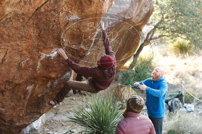 Bouldering in Hueco Tanks on 12/30/2018 with Blue Lizard Climbing and Yoga

Filename: SRM_20181230_1552350.jpg
Aperture: f/2.8
Shutter Speed: 1/320
Body: Canon EOS-1D Mark II
Lens: Canon EF 50mm f/1.8 II