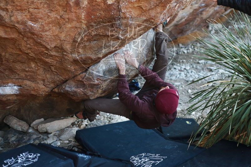 Bouldering in Hueco Tanks on 12/30/2018 with Blue Lizard Climbing and Yoga

Filename: SRM_20181230_1601430.jpg
Aperture: f/2.8
Shutter Speed: 1/250
Body: Canon EOS-1D Mark II
Lens: Canon EF 50mm f/1.8 II