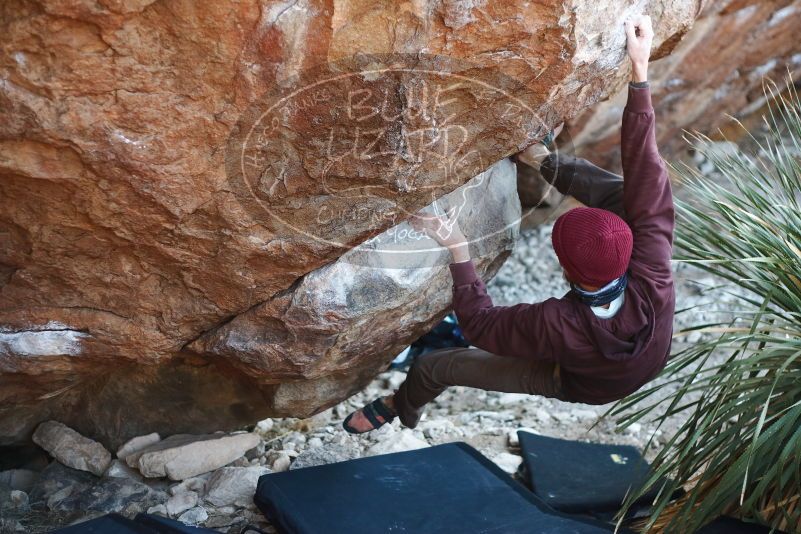 Bouldering in Hueco Tanks on 12/30/2018 with Blue Lizard Climbing and Yoga

Filename: SRM_20181230_1601460.jpg
Aperture: f/2.5
Shutter Speed: 1/250
Body: Canon EOS-1D Mark II
Lens: Canon EF 50mm f/1.8 II