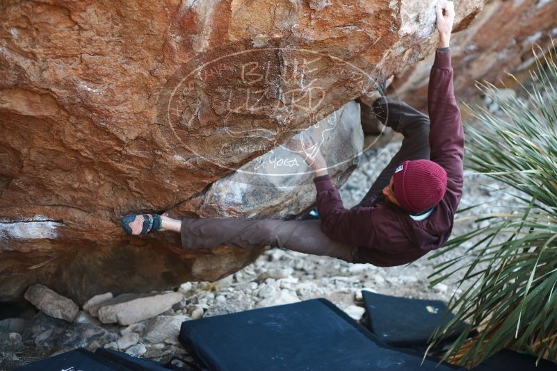 Bouldering in Hueco Tanks on 12/30/2018 with Blue Lizard Climbing and Yoga

Filename: SRM_20181230_1601470.jpg
Aperture: f/2.5
Shutter Speed: 1/250
Body: Canon EOS-1D Mark II
Lens: Canon EF 50mm f/1.8 II