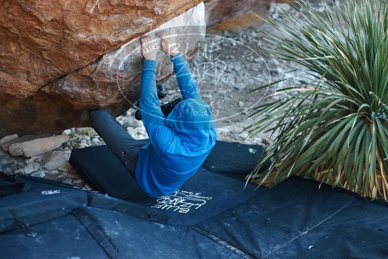 Bouldering in Hueco Tanks on 12/30/2018 with Blue Lizard Climbing and Yoga

Filename: SRM_20181230_1618570.jpg
Aperture: f/2.5
Shutter Speed: 1/250
Body: Canon EOS-1D Mark II
Lens: Canon EF 50mm f/1.8 II