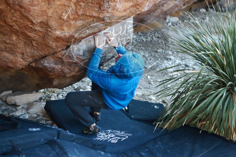 Bouldering in Hueco Tanks on 12/30/2018 with Blue Lizard Climbing and Yoga

Filename: SRM_20181230_1619000.jpg
Aperture: f/2.5
Shutter Speed: 1/250
Body: Canon EOS-1D Mark II
Lens: Canon EF 50mm f/1.8 II