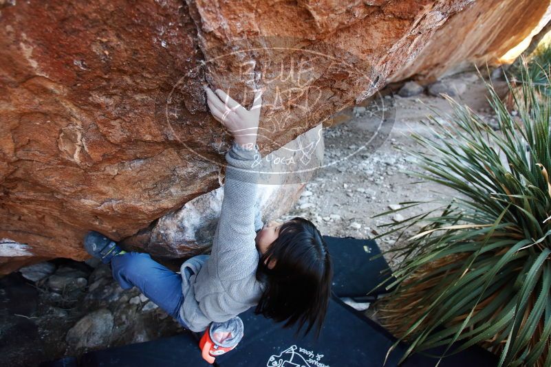 Bouldering in Hueco Tanks on 12/30/2018 with Blue Lizard Climbing and Yoga

Filename: SRM_20181230_1622410.jpg
Aperture: f/3.5
Shutter Speed: 1/200
Body: Canon EOS-1D Mark II
Lens: Canon EF 16-35mm f/2.8 L