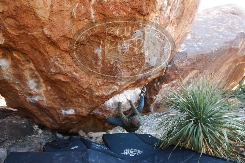 Bouldering in Hueco Tanks on 12/30/2018 with Blue Lizard Climbing and Yoga

Filename: SRM_20181230_1625070.jpg
Aperture: f/4.5
Shutter Speed: 1/200
Body: Canon EOS-1D Mark II
Lens: Canon EF 16-35mm f/2.8 L