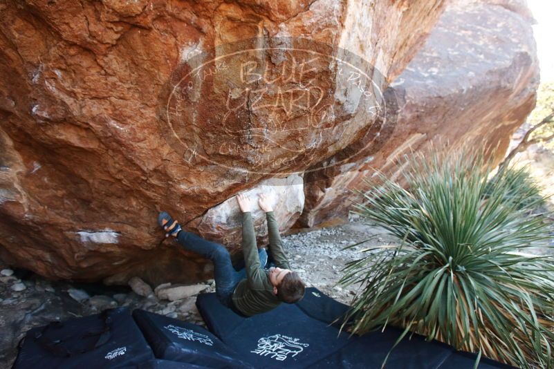 Bouldering in Hueco Tanks on 12/30/2018 with Blue Lizard Climbing and Yoga

Filename: SRM_20181230_1625200.jpg
Aperture: f/4.5
Shutter Speed: 1/200
Body: Canon EOS-1D Mark II
Lens: Canon EF 16-35mm f/2.8 L