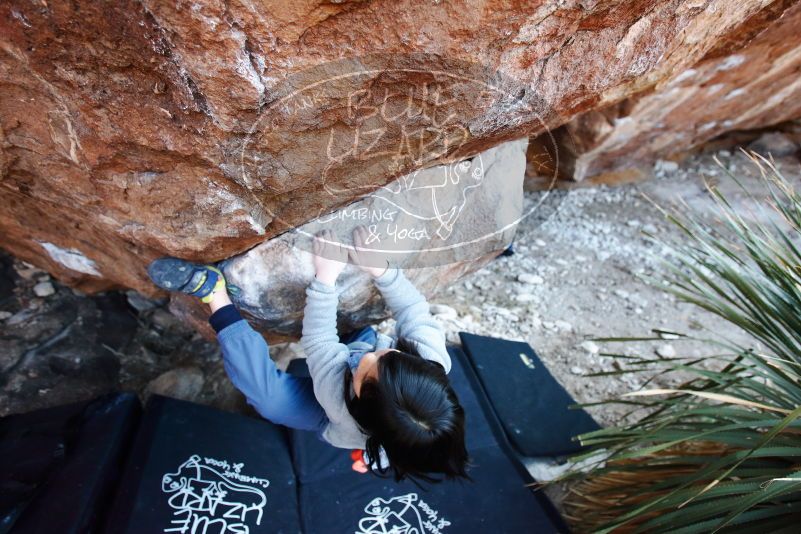 Bouldering in Hueco Tanks on 12/30/2018 with Blue Lizard Climbing and Yoga

Filename: SRM_20181230_1629250.jpg
Aperture: f/3.5
Shutter Speed: 1/250
Body: Canon EOS-1D Mark II
Lens: Canon EF 16-35mm f/2.8 L