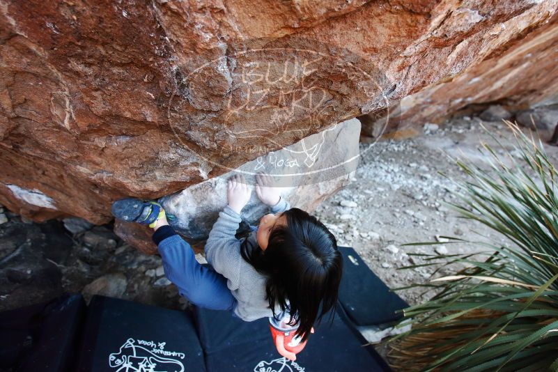 Bouldering in Hueco Tanks on 12/30/2018 with Blue Lizard Climbing and Yoga

Filename: SRM_20181230_1629260.jpg
Aperture: f/3.5
Shutter Speed: 1/250
Body: Canon EOS-1D Mark II
Lens: Canon EF 16-35mm f/2.8 L