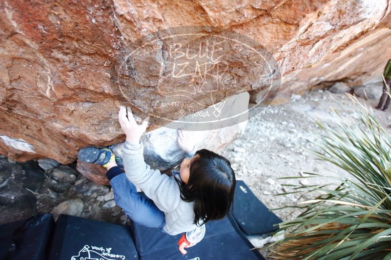 Bouldering in Hueco Tanks on 12/30/2018 with Blue Lizard Climbing and Yoga

Filename: SRM_20181230_1629261.jpg
Aperture: f/2.8
Shutter Speed: 1/200
Body: Canon EOS-1D Mark II
Lens: Canon EF 16-35mm f/2.8 L