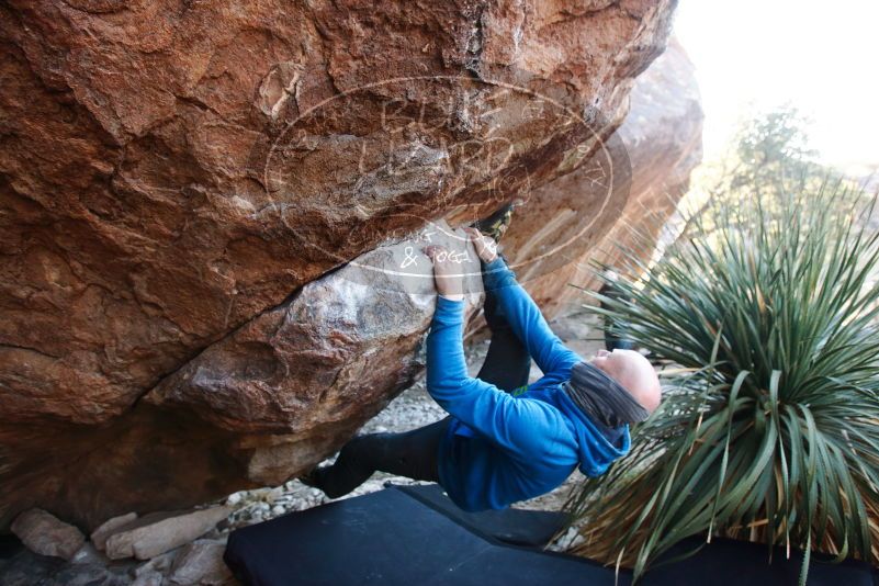 Bouldering in Hueco Tanks on 12/30/2018 with Blue Lizard Climbing and Yoga

Filename: SRM_20181230_1632250.jpg
Aperture: f/4.0
Shutter Speed: 1/250
Body: Canon EOS-1D Mark II
Lens: Canon EF 16-35mm f/2.8 L