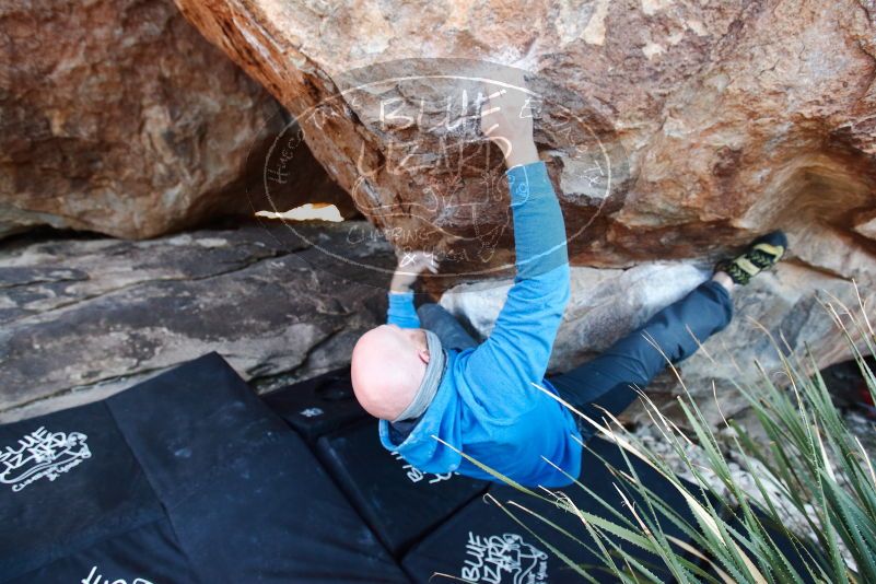 Bouldering in Hueco Tanks on 12/30/2018 with Blue Lizard Climbing and Yoga

Filename: SRM_20181230_1636250.jpg
Aperture: f/4.0
Shutter Speed: 1/250
Body: Canon EOS-1D Mark II
Lens: Canon EF 16-35mm f/2.8 L