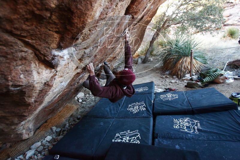 Bouldering in Hueco Tanks on 12/30/2018 with Blue Lizard Climbing and Yoga

Filename: SRM_20181230_1707360.jpg
Aperture: f/3.5
Shutter Speed: 1/200
Body: Canon EOS-1D Mark II
Lens: Canon EF 16-35mm f/2.8 L