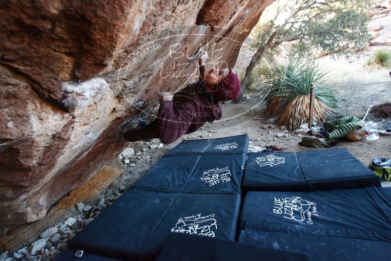 Bouldering in Hueco Tanks on 12/30/2018 with Blue Lizard Climbing and Yoga

Filename: SRM_20181230_1707370.jpg
Aperture: f/3.5
Shutter Speed: 1/200
Body: Canon EOS-1D Mark II
Lens: Canon EF 16-35mm f/2.8 L