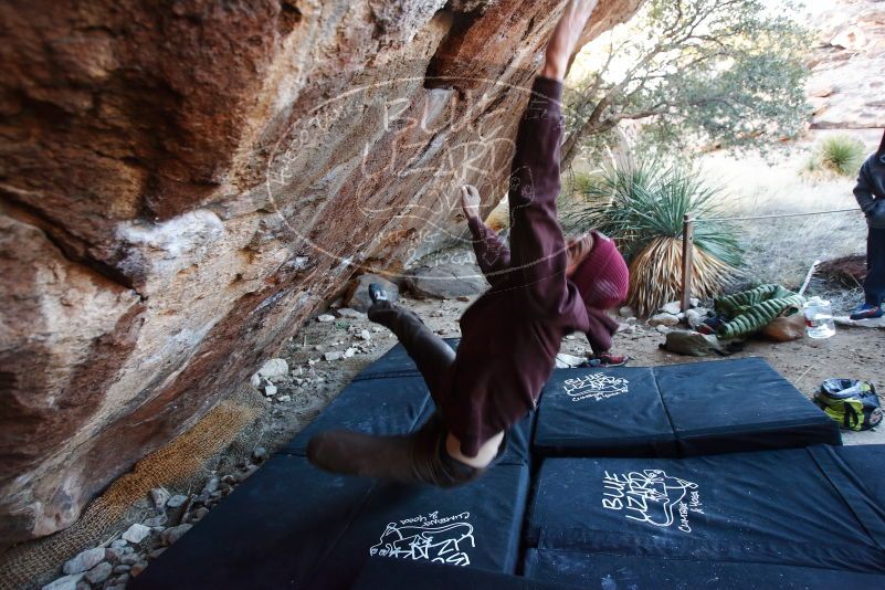 Bouldering in Hueco Tanks on 12/30/2018 with Blue Lizard Climbing and Yoga

Filename: SRM_20181230_1707371.jpg
Aperture: f/3.5
Shutter Speed: 1/200
Body: Canon EOS-1D Mark II
Lens: Canon EF 16-35mm f/2.8 L