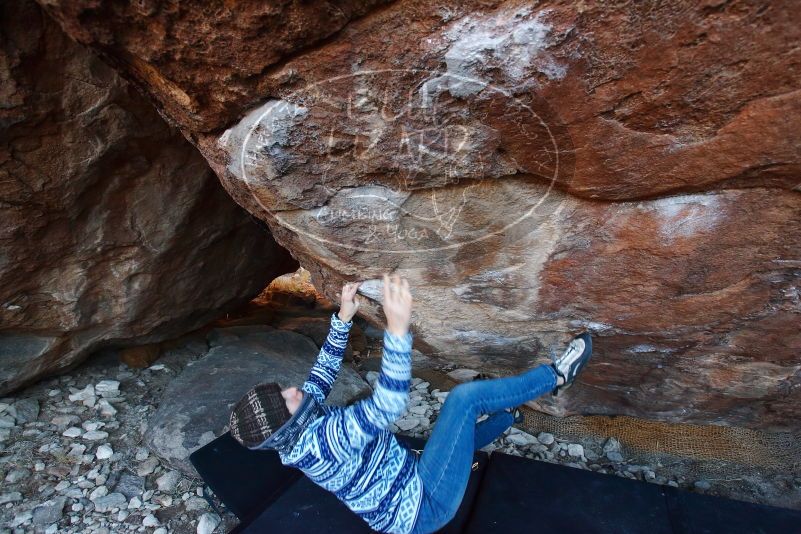 Bouldering in Hueco Tanks on 12/30/2018 with Blue Lizard Climbing and Yoga

Filename: SRM_20181230_1708320.jpg
Aperture: f/4.0
Shutter Speed: 1/200
Body: Canon EOS-1D Mark II
Lens: Canon EF 16-35mm f/2.8 L