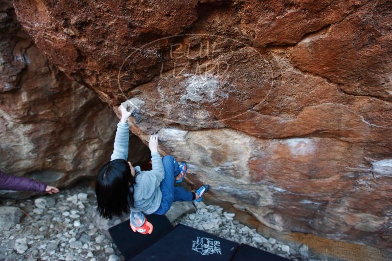 Bouldering in Hueco Tanks on 12/30/2018 with Blue Lizard Climbing and Yoga

Filename: SRM_20181230_1711560.jpg
Aperture: f/4.0
Shutter Speed: 1/200
Body: Canon EOS-1D Mark II
Lens: Canon EF 16-35mm f/2.8 L