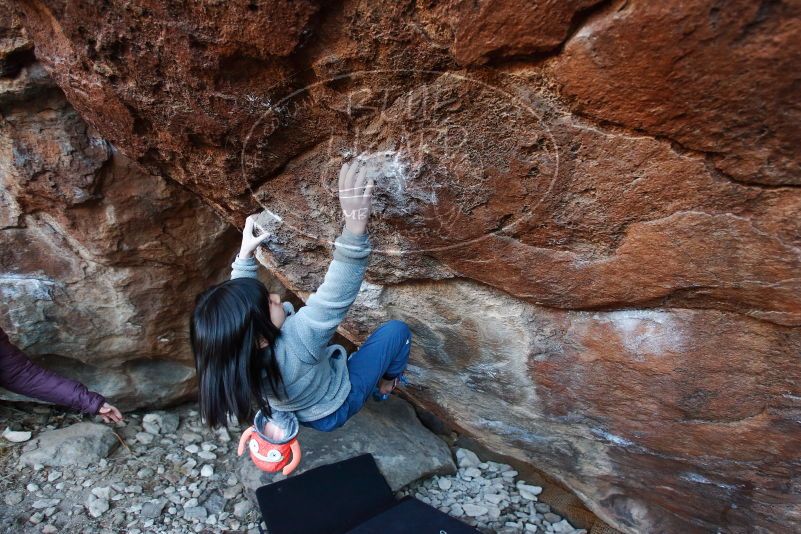 Bouldering in Hueco Tanks on 12/30/2018 with Blue Lizard Climbing and Yoga

Filename: SRM_20181230_1711590.jpg
Aperture: f/4.0
Shutter Speed: 1/200
Body: Canon EOS-1D Mark II
Lens: Canon EF 16-35mm f/2.8 L