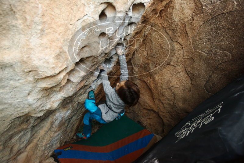 Bouldering in Hueco Tanks on 01/01/2019 with Blue Lizard Climbing and Yoga

Filename: SRM_20190101_1036480.jpg
Aperture: f/3.2
Shutter Speed: 1/200
Body: Canon EOS-1D Mark II
Lens: Canon EF 16-35mm f/2.8 L