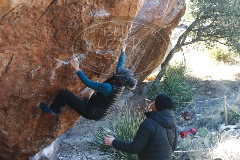 Bouldering in Hueco Tanks on 01/01/2019 with Blue Lizard Climbing and Yoga

Filename: SRM_20190101_1321450.jpg
Aperture: f/4.0
Shutter Speed: 1/250
Body: Canon EOS-1D Mark II
Lens: Canon EF 50mm f/1.8 II