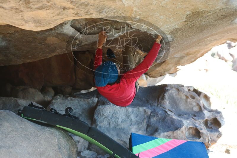 Bouldering in Hueco Tanks on 12/31/2018 with Blue Lizard Climbing and Yoga

Filename: SRM_20181231_1520020.jpg
Aperture: f/4.0
Shutter Speed: 1/250
Body: Canon EOS-1D Mark II
Lens: Canon EF 50mm f/1.8 II