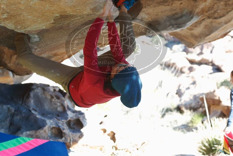 Bouldering in Hueco Tanks on 12/31/2018 with Blue Lizard Climbing and Yoga

Filename: SRM_20181231_1520110.jpg
Aperture: f/4.0
Shutter Speed: 1/250
Body: Canon EOS-1D Mark II
Lens: Canon EF 50mm f/1.8 II