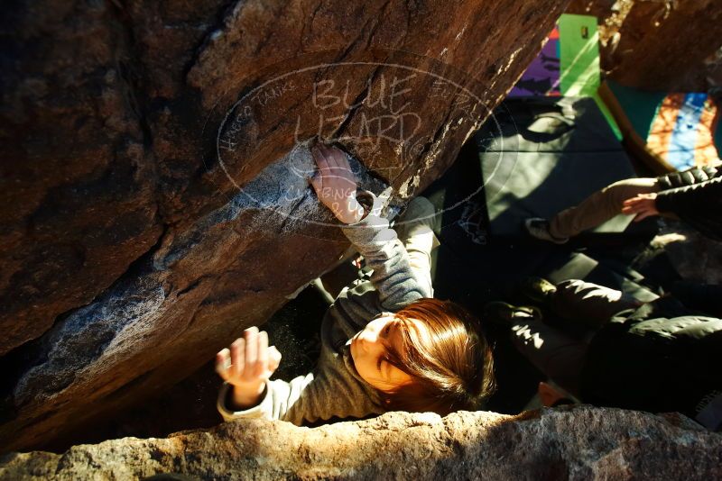 Bouldering in Hueco Tanks on 12/31/2018 with Blue Lizard Climbing and Yoga

Filename: SRM_20181231_1749570.jpg
Aperture: f/5.6
Shutter Speed: 1/160
Body: Canon EOS-1D Mark II
Lens: Canon EF 16-35mm f/2.8 L