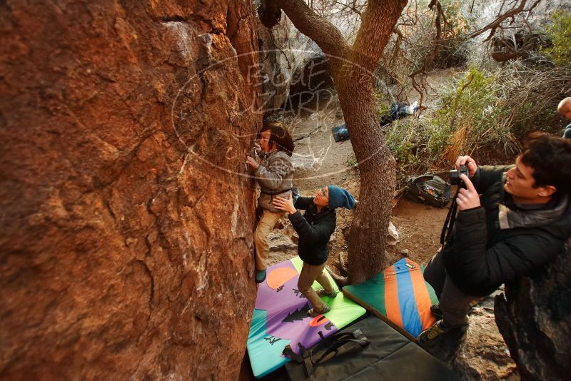 Bouldering in Hueco Tanks on 12/31/2018 with Blue Lizard Climbing and Yoga

Filename: SRM_20181231_1756160.jpg
Aperture: f/2.8
Shutter Speed: 1/125
Body: Canon EOS-1D Mark II
Lens: Canon EF 16-35mm f/2.8 L