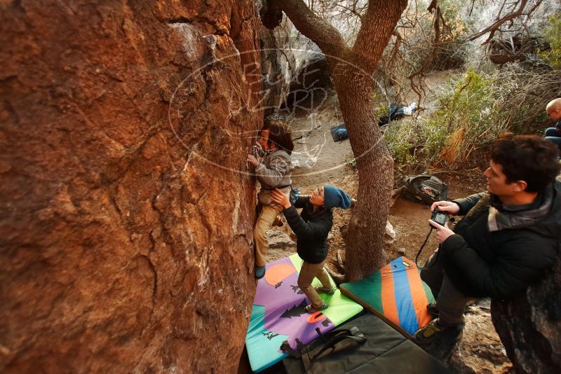 Bouldering in Hueco Tanks on 12/31/2018 with Blue Lizard Climbing and Yoga

Filename: SRM_20181231_1756170.jpg
Aperture: f/2.8
Shutter Speed: 1/125
Body: Canon EOS-1D Mark II
Lens: Canon EF 16-35mm f/2.8 L