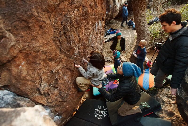 Bouldering in Hueco Tanks on 12/31/2018 with Blue Lizard Climbing and Yoga

Filename: SRM_20181231_1757490.jpg
Aperture: f/2.8
Shutter Speed: 1/100
Body: Canon EOS-1D Mark II
Lens: Canon EF 16-35mm f/2.8 L