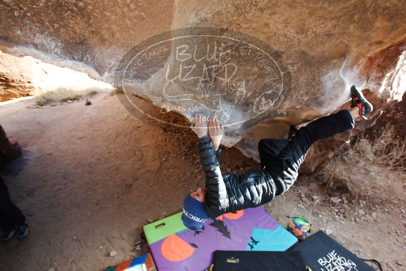 Bouldering in Hueco Tanks on 01/02/2019 with Blue Lizard Climbing and Yoga

Filename: SRM_20190102_1053270.jpg
Aperture: f/5.0
Shutter Speed: 1/320
Body: Canon EOS-1D Mark II
Lens: Canon EF 16-35mm f/2.8 L