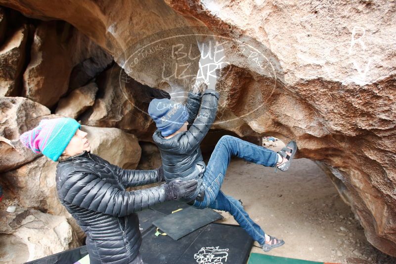 Bouldering in Hueco Tanks on 01/02/2019 with Blue Lizard Climbing and Yoga

Filename: SRM_20190102_1332210.jpg
Aperture: f/4.0
Shutter Speed: 1/250
Body: Canon EOS-1D Mark II
Lens: Canon EF 16-35mm f/2.8 L