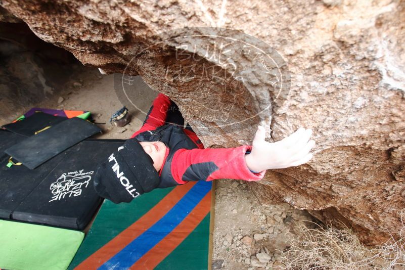 Bouldering in Hueco Tanks on 01/02/2019 with Blue Lizard Climbing and Yoga

Filename: SRM_20190102_1333300.jpg
Aperture: f/4.5
Shutter Speed: 1/250
Body: Canon EOS-1D Mark II
Lens: Canon EF 16-35mm f/2.8 L