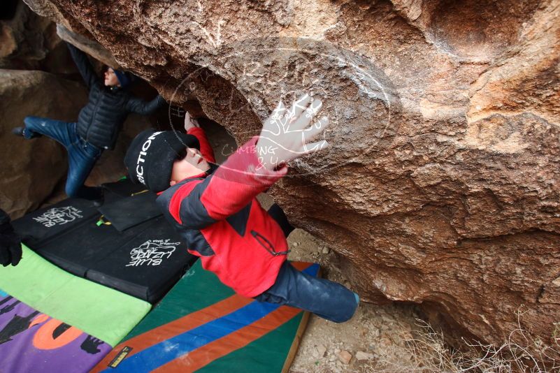 Bouldering in Hueco Tanks on 01/02/2019 with Blue Lizard Climbing and Yoga

Filename: SRM_20190102_1334190.jpg
Aperture: f/5.6
Shutter Speed: 1/250
Body: Canon EOS-1D Mark II
Lens: Canon EF 16-35mm f/2.8 L