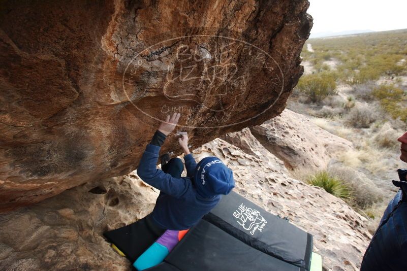 Bouldering in Hueco Tanks on 01/02/2019 with Blue Lizard Climbing and Yoga

Filename: SRM_20190102_1431230.jpg
Aperture: f/6.3
Shutter Speed: 1/320
Body: Canon EOS-1D Mark II
Lens: Canon EF 16-35mm f/2.8 L