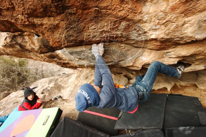 Bouldering in Hueco Tanks on 01/02/2019 with Blue Lizard Climbing and Yoga

Filename: SRM_20190102_1511060.jpg
Aperture: f/6.3
Shutter Speed: 1/250
Body: Canon EOS-1D Mark II
Lens: Canon EF 16-35mm f/2.8 L