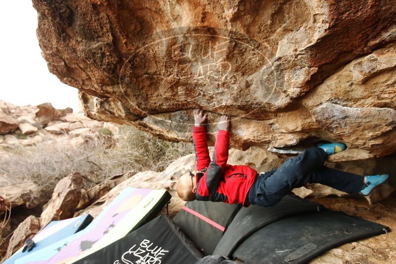 Bouldering in Hueco Tanks on 01/02/2019 with Blue Lizard Climbing and Yoga

Filename: SRM_20190102_1546440.jpg
Aperture: f/5.6
Shutter Speed: 1/320
Body: Canon EOS-1D Mark II
Lens: Canon EF 16-35mm f/2.8 L