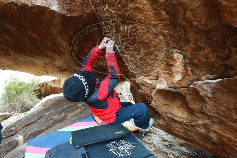 Bouldering in Hueco Tanks on 01/02/2019 with Blue Lizard Climbing and Yoga

Filename: SRM_20190102_1550160.jpg
Aperture: f/2.8
Shutter Speed: 1/320
Body: Canon EOS-1D Mark II
Lens: Canon EF 16-35mm f/2.8 L