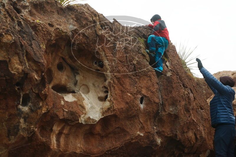 Bouldering in Hueco Tanks on 01/02/2019 with Blue Lizard Climbing and Yoga

Filename: SRM_20190102_1655010.jpg
Aperture: f/4.5
Shutter Speed: 1/320
Body: Canon EOS-1D Mark II
Lens: Canon EF 50mm f/1.8 II