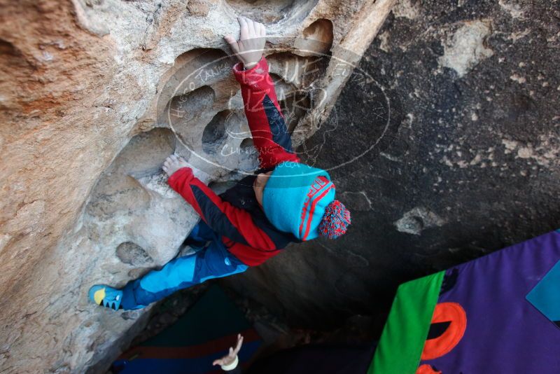 Bouldering in Hueco Tanks on 01/01/2019 with Blue Lizard Climbing and Yoga

Filename: SRM_20190101_1041460.jpg
Aperture: f/4.0
Shutter Speed: 1/200
Body: Canon EOS-1D Mark II
Lens: Canon EF 16-35mm f/2.8 L