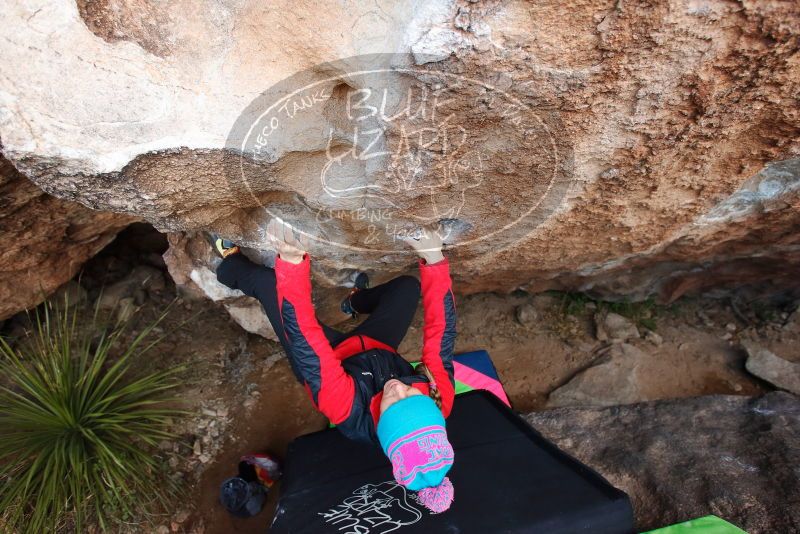 Bouldering in Hueco Tanks on 01/01/2019 with Blue Lizard Climbing and Yoga

Filename: SRM_20190101_1057480.jpg
Aperture: f/4.0
Shutter Speed: 1/250
Body: Canon EOS-1D Mark II
Lens: Canon EF 16-35mm f/2.8 L