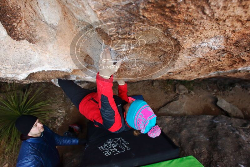 Bouldering in Hueco Tanks on 01/01/2019 with Blue Lizard Climbing and Yoga

Filename: SRM_20190101_1058000.jpg
Aperture: f/4.5
Shutter Speed: 1/250
Body: Canon EOS-1D Mark II
Lens: Canon EF 16-35mm f/2.8 L