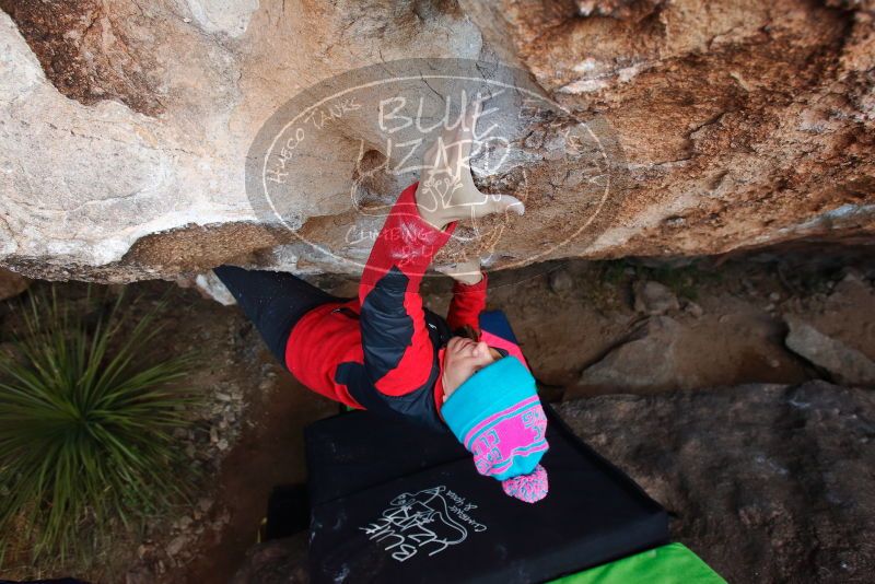 Bouldering in Hueco Tanks on 01/01/2019 with Blue Lizard Climbing and Yoga

Filename: SRM_20190101_1103110.jpg
Aperture: f/4.5
Shutter Speed: 1/250
Body: Canon EOS-1D Mark II
Lens: Canon EF 16-35mm f/2.8 L