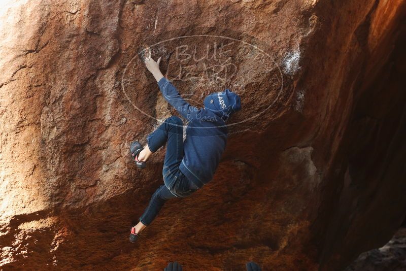 Bouldering in Hueco Tanks on 01/01/2019 with Blue Lizard Climbing and Yoga

Filename: SRM_20190101_1141240.jpg
Aperture: f/4.0
Shutter Speed: 1/250
Body: Canon EOS-1D Mark II
Lens: Canon EF 50mm f/1.8 II