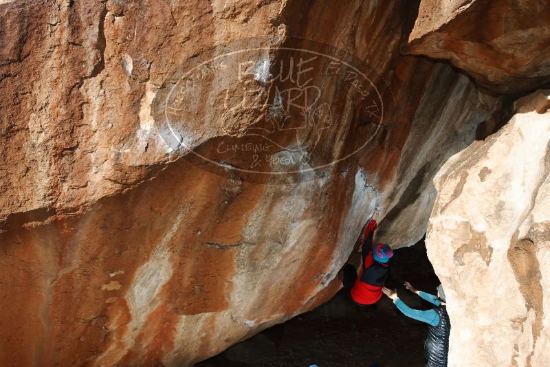 Bouldering in Hueco Tanks on 01/01/2019 with Blue Lizard Climbing and Yoga

Filename: SRM_20190101_1201570.jpg
Aperture: f/8.0
Shutter Speed: 1/250
Body: Canon EOS-1D Mark II
Lens: Canon EF 16-35mm f/2.8 L