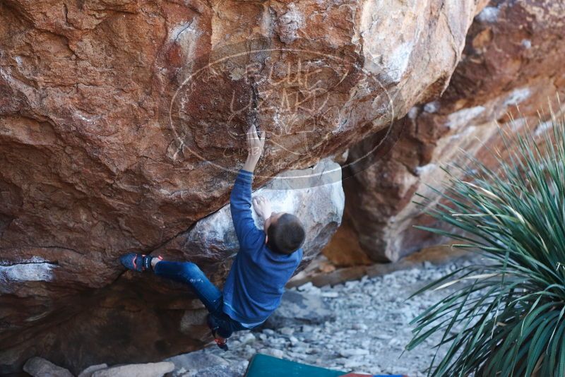 Bouldering in Hueco Tanks on 01/01/2019 with Blue Lizard Climbing and Yoga

Filename: SRM_20190101_1312460.jpg
Aperture: f/3.2
Shutter Speed: 1/250
Body: Canon EOS-1D Mark II
Lens: Canon EF 50mm f/1.8 II