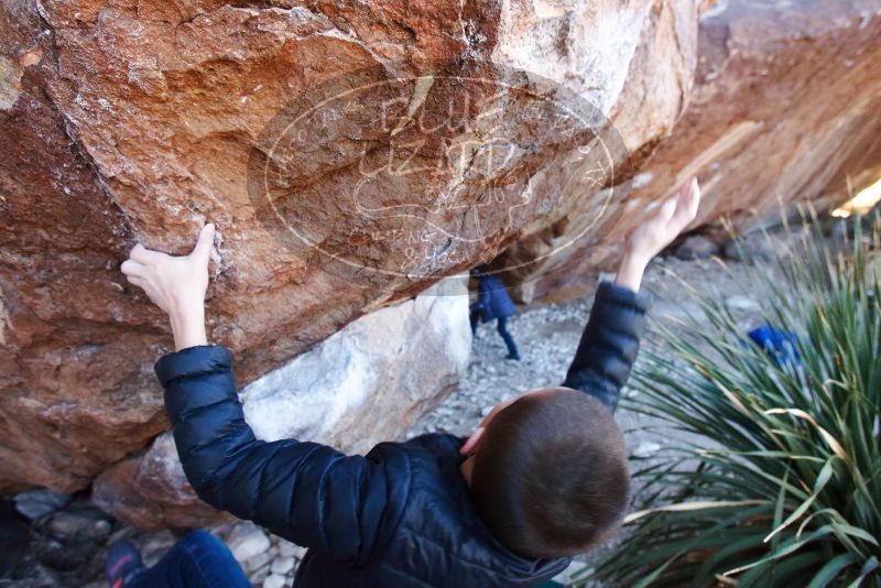 Bouldering in Hueco Tanks on 01/01/2019 with Blue Lizard Climbing and Yoga

Filename: SRM_20190101_1336180.jpg
Aperture: f/4.0
Shutter Speed: 1/250
Body: Canon EOS-1D Mark II
Lens: Canon EF 16-35mm f/2.8 L