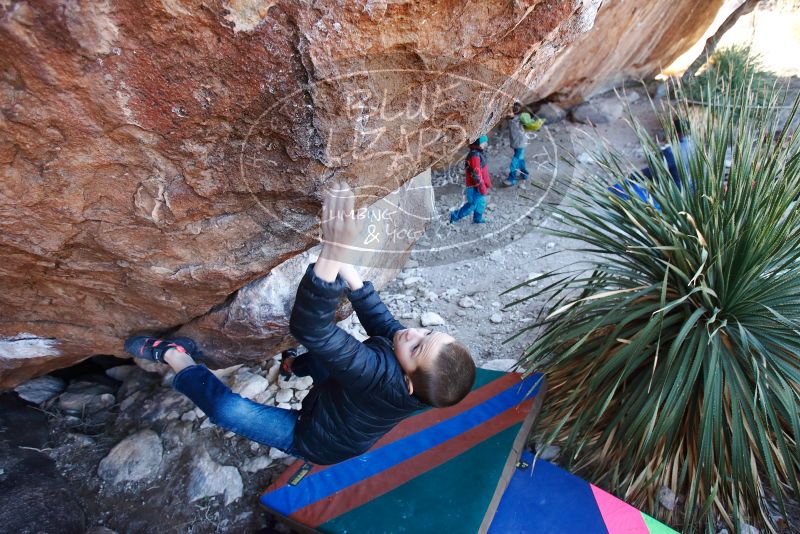 Bouldering in Hueco Tanks on 01/01/2019 with Blue Lizard Climbing and Yoga

Filename: SRM_20190101_1338140.jpg
Aperture: f/4.0
Shutter Speed: 1/250
Body: Canon EOS-1D Mark II
Lens: Canon EF 16-35mm f/2.8 L